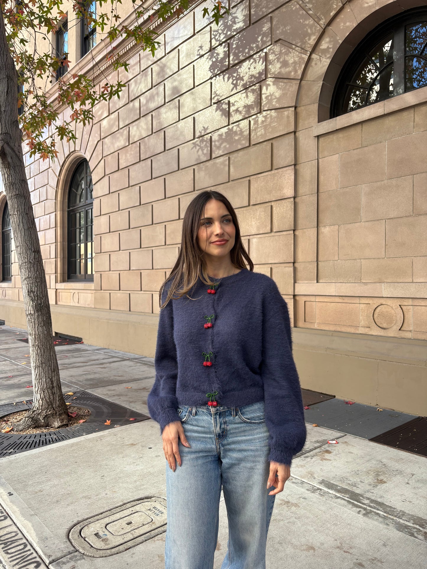 Navy Cherry Cardi